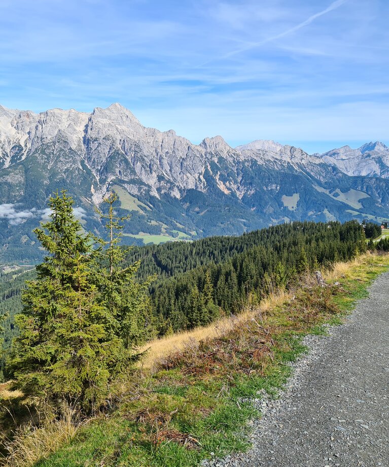 Wanderwege im Sommer