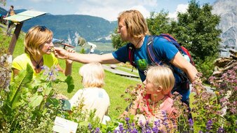 Blumenwiesen in der Region Saalfelden Leogang